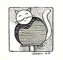 KÜLLÜK SERİSİ: KEDİ