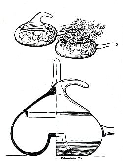 İKİ YÖNLÜ CAM KAP SERİSİ: KAPAKLI ŞEKERLİK VE ÇİÇEKLİK